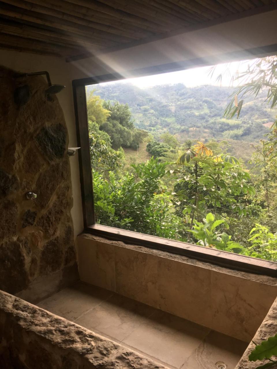 Hotel Green Ecologico La Vega  Rum bild